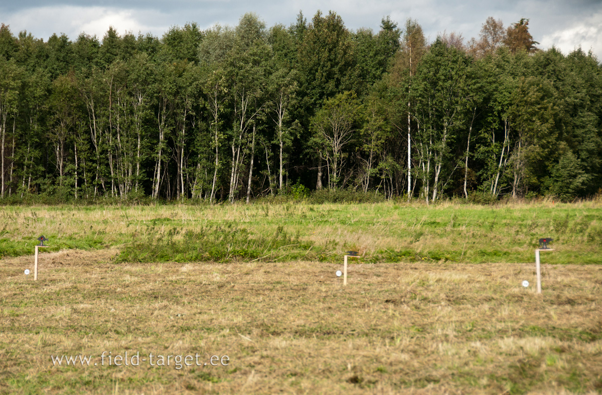 0038   Pollu peal on osad margid tokkide otsa pandud, kus mojub tugevam tuul ja keerulisem pihta saada